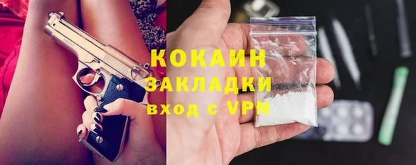 гашик Ветлуга