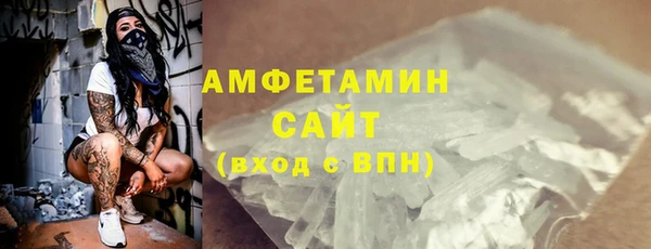 гашик Ветлуга