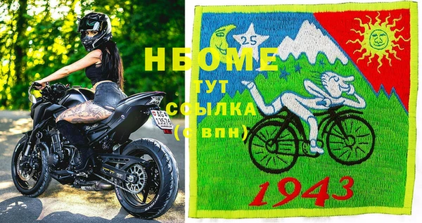 гашик Ветлуга