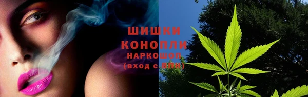 гашик Ветлуга