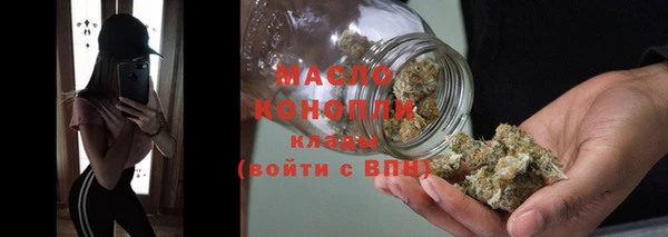 гашик Ветлуга