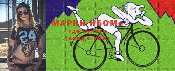 гашик Ветлуга