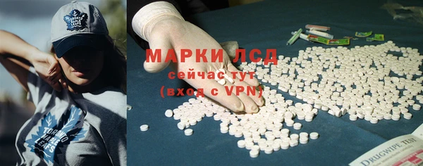гашик Ветлуга